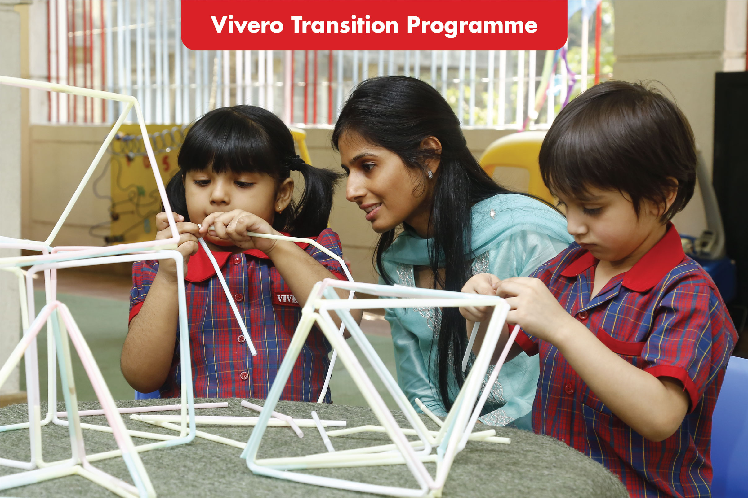 Transition Programme