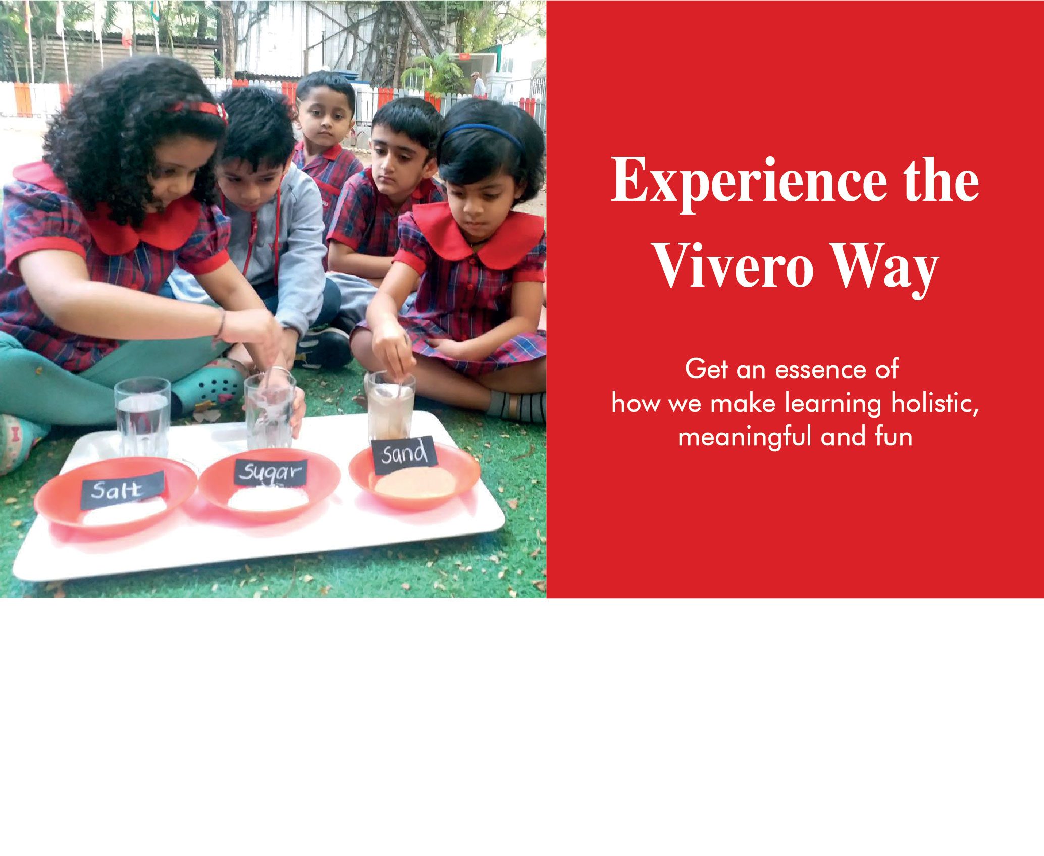 Vivero Experience